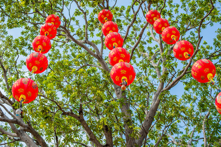 中国的节日，在树上的红色灯