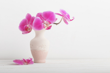 兰花花在一张木桌上的花瓶