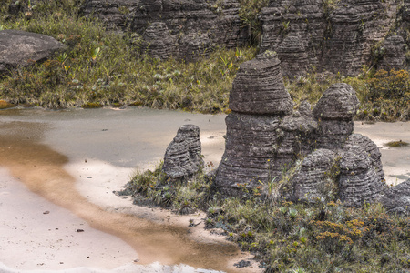 奇怪古岩石的高原罗赖马 tepui委内瑞拉