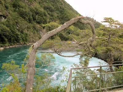 河流在公园