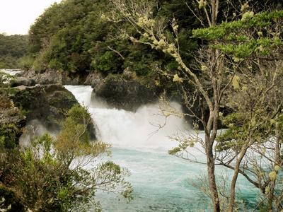 河流在公园