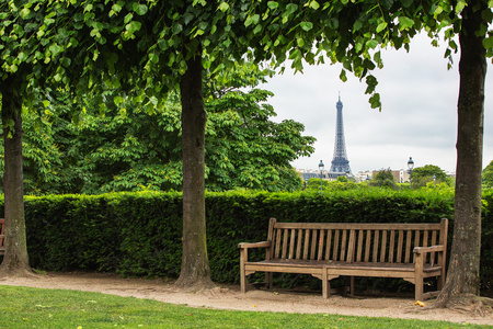 Tuilleries 花园和在法国巴黎的埃菲尔铁塔。