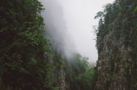 薄雾中的山沟图片