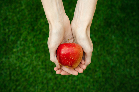 素食主义者和新鲜水果和蔬菜这一主题的性质 人类手握一个红苹果，背景为绿色的草顶视图