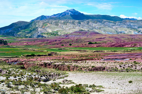 火山口的火山马拉瓜图片