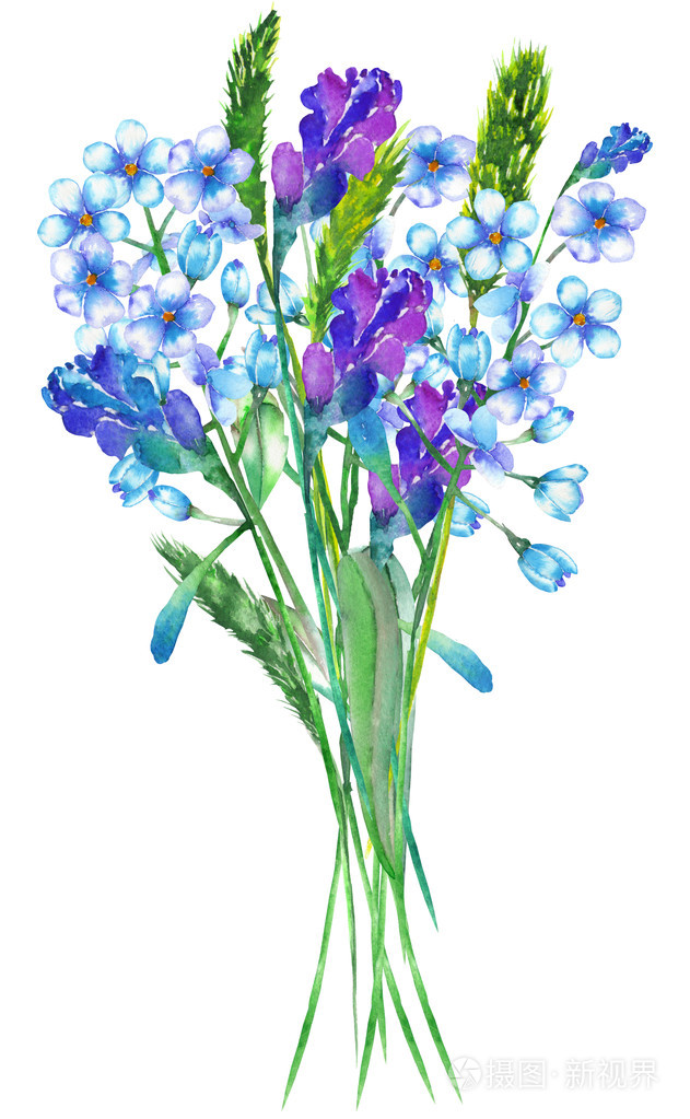 一束美丽的水彩画蓝色勿忘我花 (勿忘我),薰衣草花和小穗的例证
