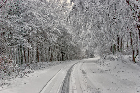 路在 wiiter 山风景2