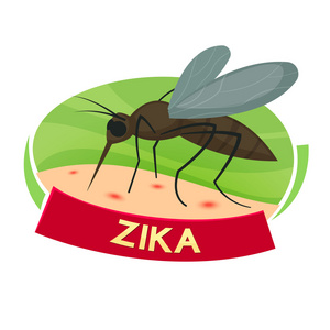 病毒 Zika 插图