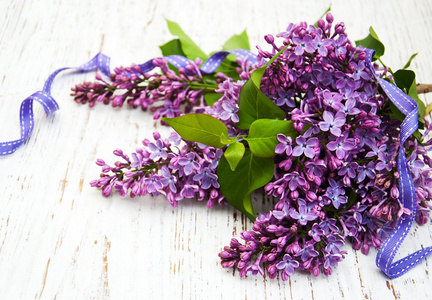 春天淡紫色的花朵