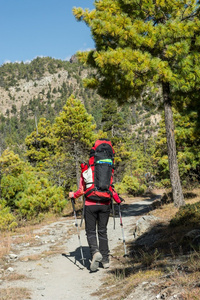 在她穿过山林扬女龙门图片