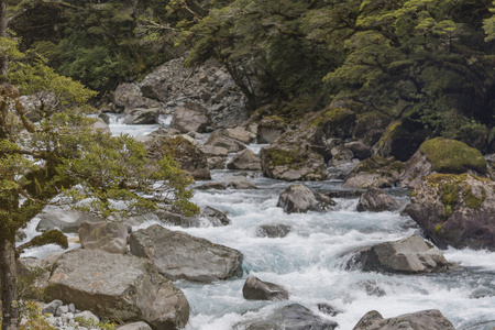 裂口新西兰南岛峡湾