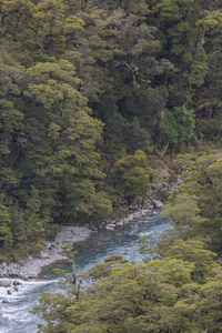 裂口新西兰南岛峡湾