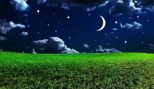 早上在绿色的田野图片