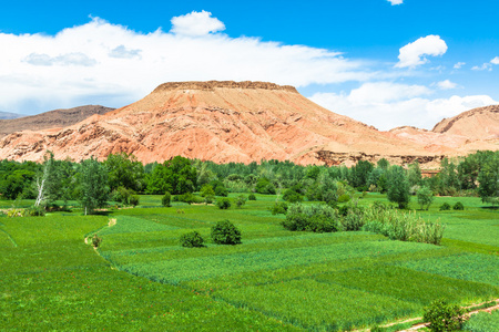 Dades Gorgem 摩洛哥，非洲红岩石石灰石手指