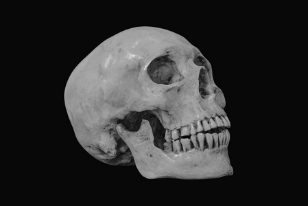 鼻子侧面图片-鼻子侧面素材-鼻子侧面插画-摄图新视界