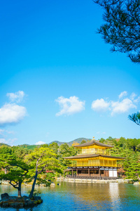 在京都的金阁寺