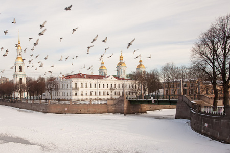 群鸽子在皲裂大教堂圣彼得斯堡
