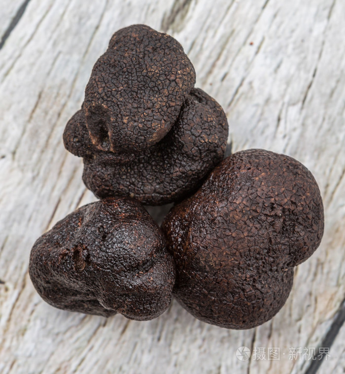 黑松蘑菇照片-正版商用图片1m1g14-摄图新视界