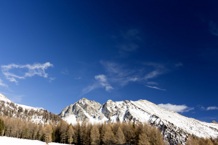 高山景观与山 树和雪