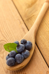 木制勺子上美味的蓝莓