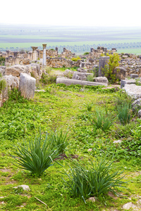 volubilis 摩洛哥非洲老罗马退化的纪念碑