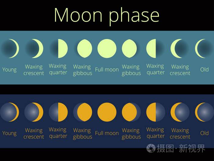 这阶段的月亮.从新月到充分的整个周期.矢量图