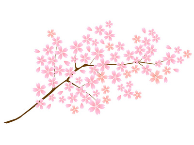樱桃春天花图标