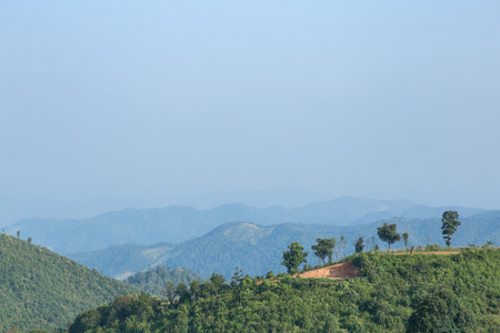 天空 森林和山