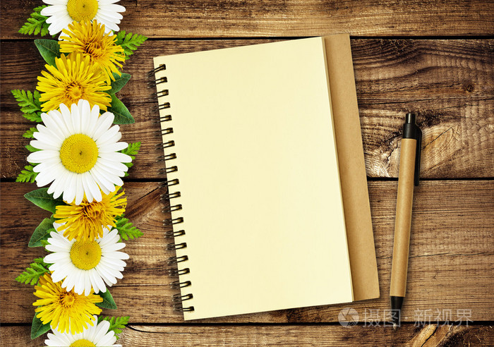 发票合同问题/查看作者其他作品查看更多>雏菊花花束紫菀花和叶雏菊花