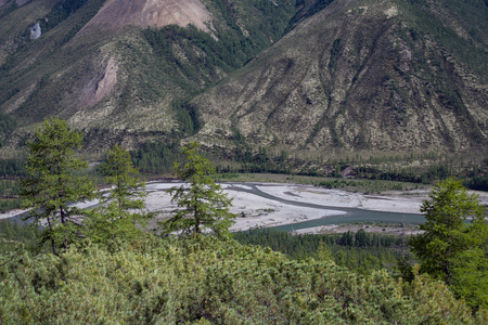顶视图的谷的一条山涧河流图片
