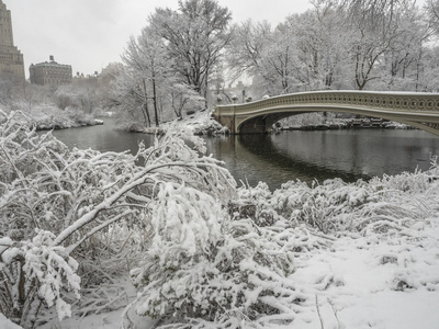 在暴风雪期间弓桥