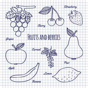 手绘水果和浆果