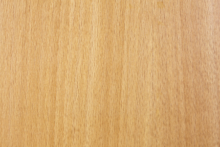 山毛榉木冲图片