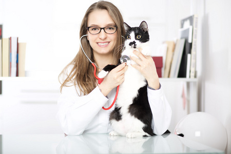 年轻的兽医做猫仪容仪表