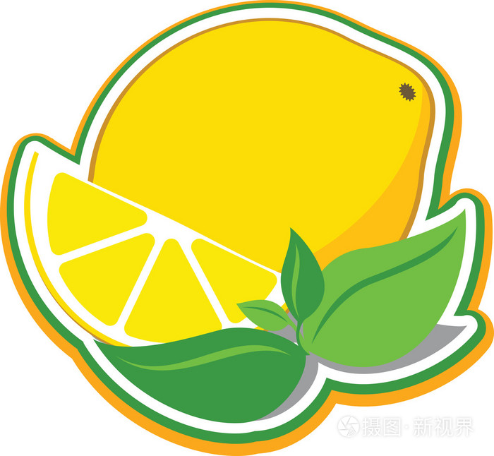 柠檬薄荷叶插画-正版商用图片1m263x-摄图新视界