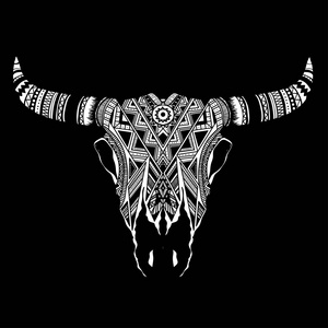 水牛头骨美国原住民图腾照片