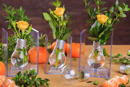 静物与橘子 灯泡和草药。水果 蔬菜 柑橘美丽的艺术作品