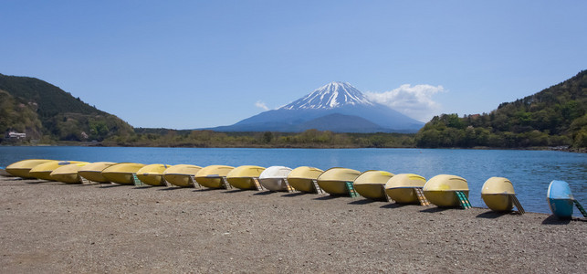 富士山和湖商事