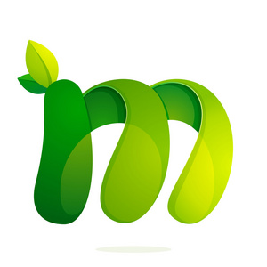带绿色的叶子生态标志，音量图标 M 字母