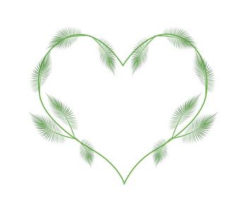 心形的可爱的绿色棕榈叶