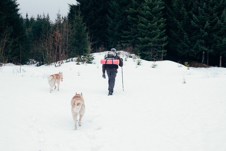 男性与西伯利亚哈士奇犬在山中徒步旅行