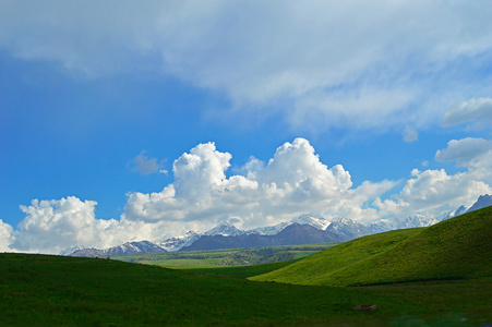 绿色草原与山中背景