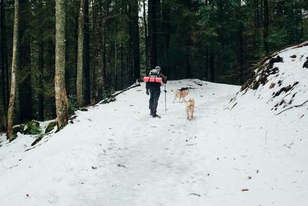男性与西伯利亚哈士奇犬在山中徒步旅行