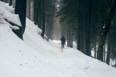 男性和哈士奇狗在山里徒步旅行
