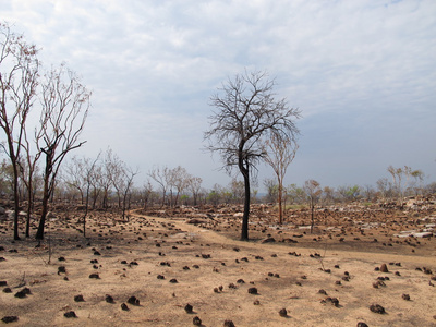 windjana 峡谷，吉布河，金伯利，西澳大利亚