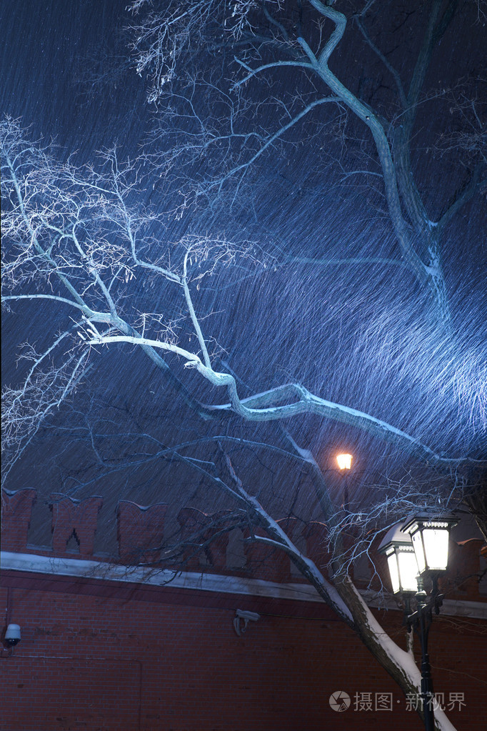 在一场暴风雪期间光路灯