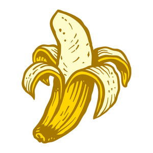 香蕉水果矢量