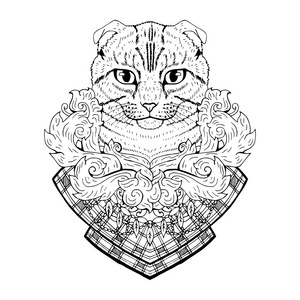 黑白动物猫头抽象艺术纹身涂鸦滑雪照片