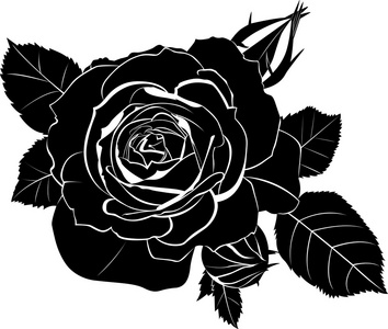 玫瑰花的黑色剪影图片