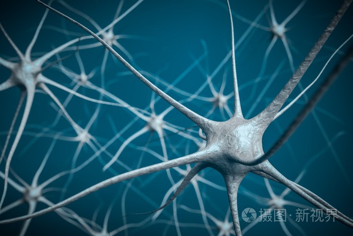 神经元在大脑中,神经网络的三维图